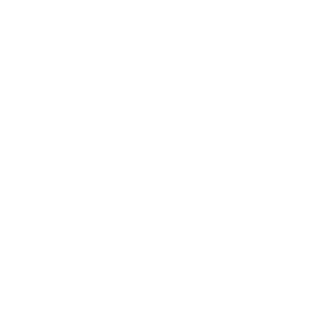 Icon: Person